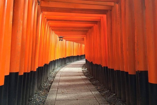 5 Top Highlights of Kyoto With Kyoto Bike Tour - Iconic Landmarks Visited