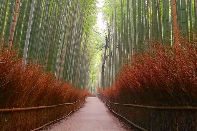5 Top Highlights of Kyoto With Kyoto Bike Tour - Frequently Asked Questions