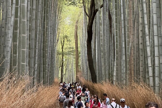 Treasures of Kyoto : Gion & Historical Private Tour - Scenic Walks Through Higashiyama Ward