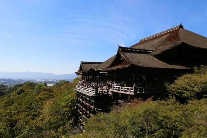 Free Choice of Itineraries Kyoto Private Tour - Customer Reviews and Feedback