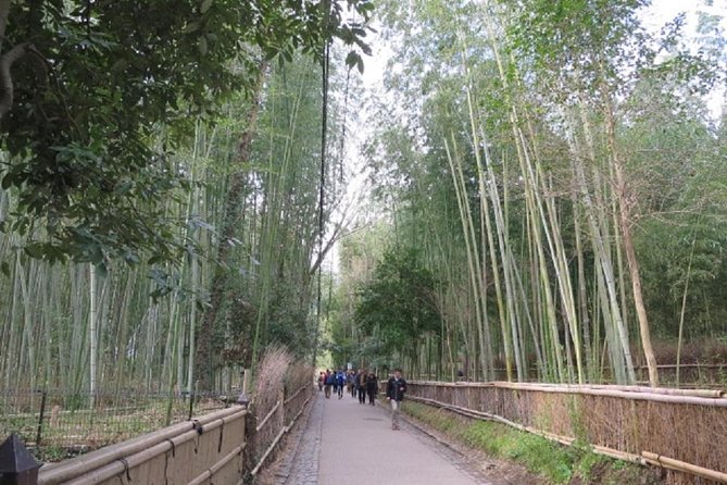 Visit the Lushan Area (On Foot, by Tram) - Enjoy Scenic Views by Tram