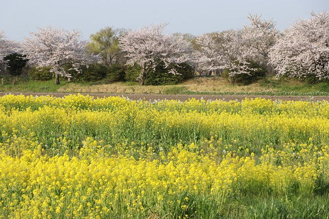 Kyoto Country Side Scooter Tour - Meeting and Pickup