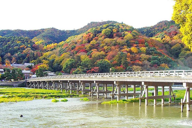 Private Kyoto Arashiyama Custom Half-Day Tour by Chartered Vehicle - Pricing Details