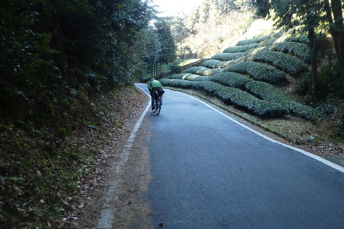 Kyoto, Nara 2 Days Bike Tour With Overnight Self Guided - Meal Options and Inclusions