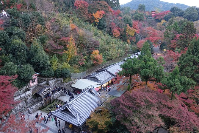 The Original Early Bird Tour of Kyoto. - Conclusion