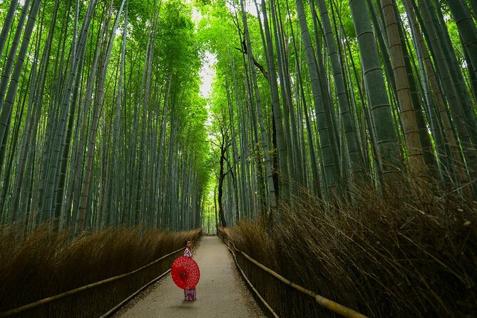 Kyoto Self-Guided Audio Tour - Reviews and Ratings