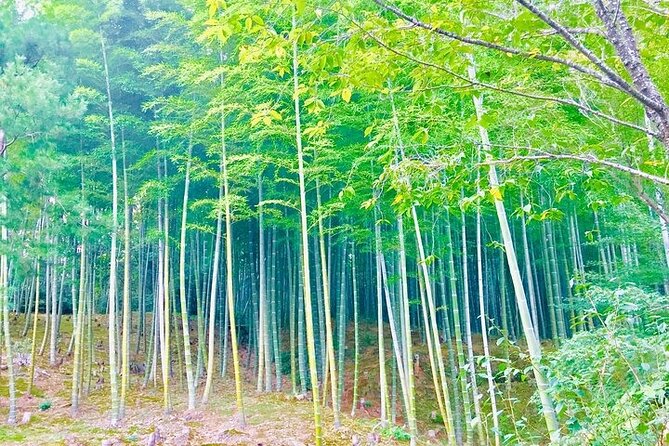 Half-Day Private Guided Tour in Kyoto, Arashiyama - Key Takeaways