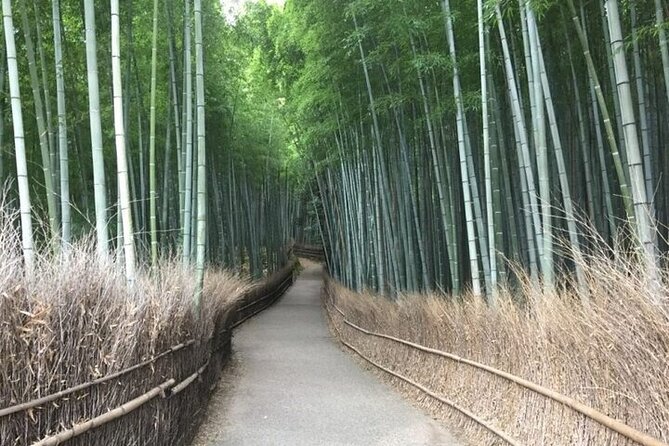 Half-Day Private Guided Tour in Kyoto, Arashiyama - Price & Booking