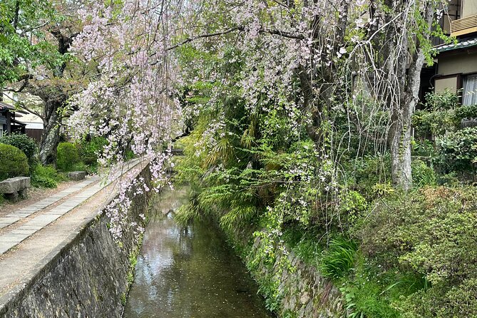 Kyoto Silver Pavilion Private 4-Hour Guided Tour - Additional Info