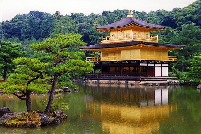 Kyoto Top Highlights Full-Day Trip From Osaka/Kyoto - Reviews