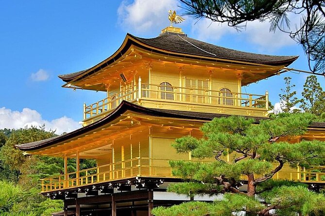 Kyoto, Osaka, Nara Private Tour by Car English Driver Guide - Cancellation and Refund Policy