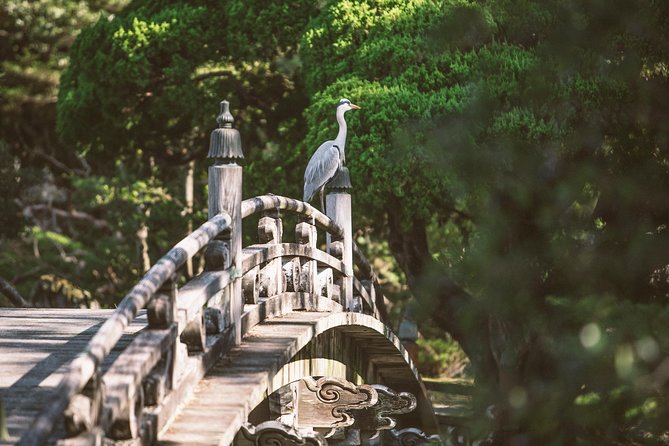 Kyoto and Nara 1 Day Trip - Golden Pavilion and Todai-Ji Temple From Kyoto - Tour Inclusions