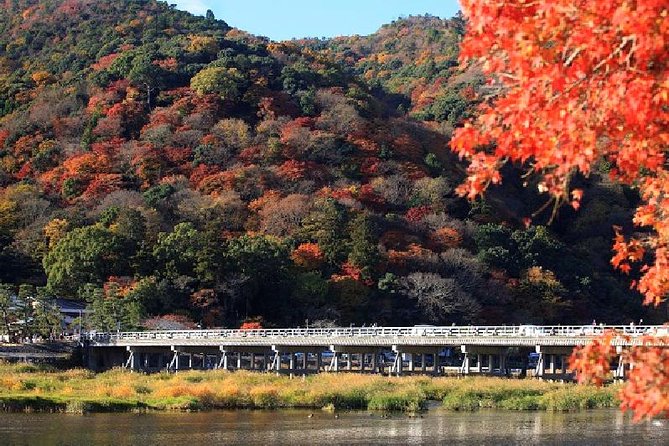 Kyoto Sagano Bamboo Grove & Arashiyama Walking Tour - Tour Itinerary