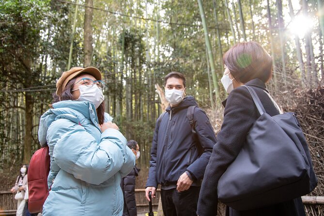 Kyoto Arashiyama Best Spots 4h Private Tour With Licensed Guide - Inclusions in the Tour Package