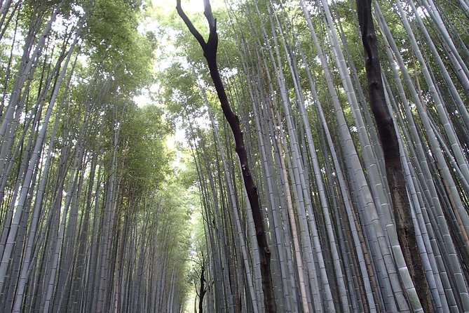 Private 1 Day Kyoto Tour Including Arashiyama Bamboo Grove and Golden Pavillion - Conclusion