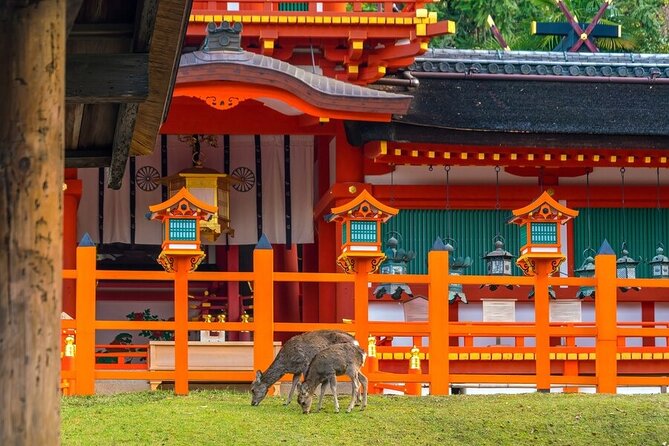 Explore the Best Spots of Arashiyama / Nara in a One Day Private Tour From Kyoto - Arashiyama Monkey Park Iwatayama