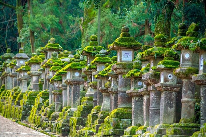 Explore the Best Spots of Arashiyama / Nara in a One Day Private Tour From Kyoto - Return to Kyoto