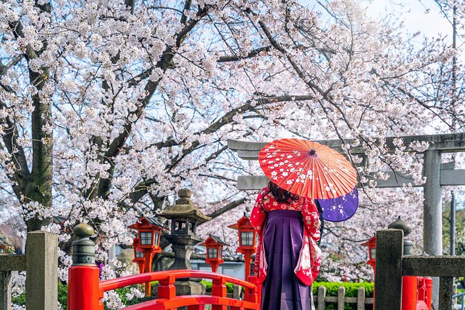 1-Full Day Private Experience of Culture and History of Kyoto for 1 Day Visitors - Conclusion