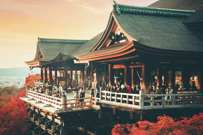 Perfect 4 Day Sightseeing in Japan - English Speaking Chauffeur - Transportation Details