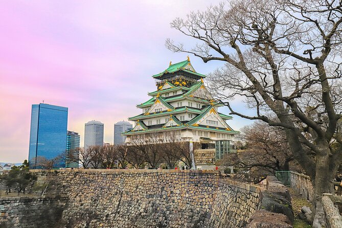 Perfect 4 Day Sightseeing in Japan - English Speaking Chauffeur - Meeting and Pickup Information