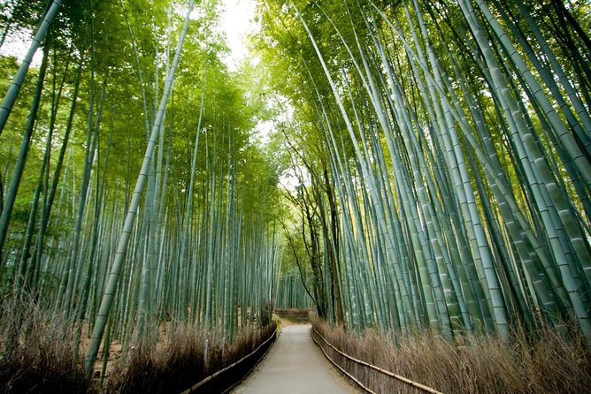 City Escape: Arashiyama Park Private Day Trip - Key Takeaways