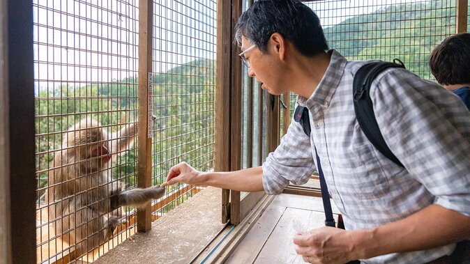 City Escape: Arashiyama Park Private Day Trip - Meeting Point and End Point