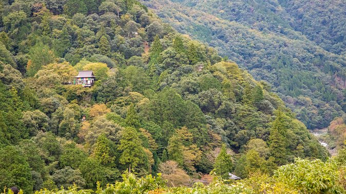 City Escape: Arashiyama Park Private Day Trip - Price and Booking