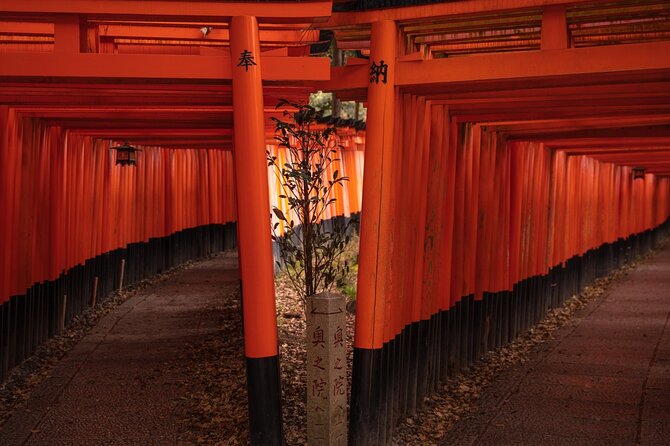 10 Must-See Spots in Kyoto One Day Private Tour (Up to 7 People) - Arashiyama Kimono Forest