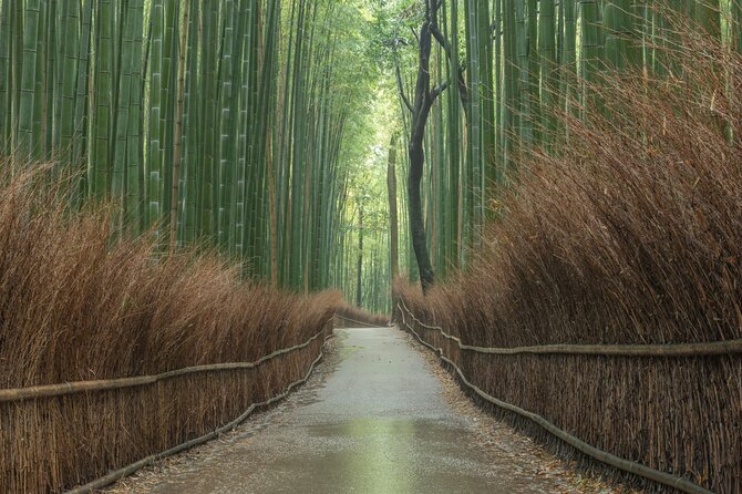 Kyoto Top Must-See Golden Pavilion and Bamboo Forest Half-Day Private Tour - Visitor Reviews