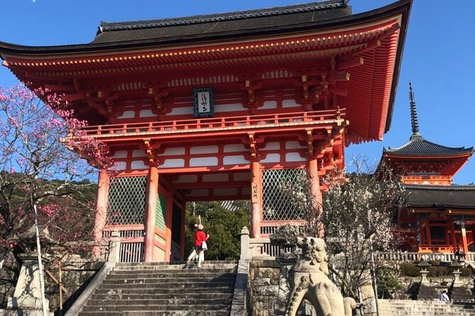 Hidden Gems, Kiyomizu-Temple and Fushimi-Inari Half Day Private - Itinerary Overview