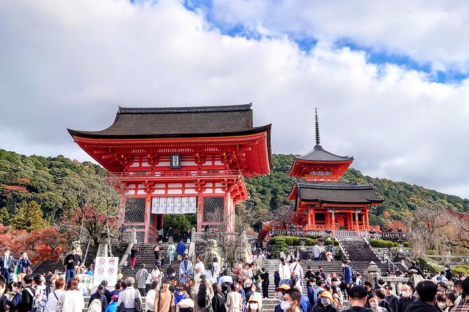 PERFECT KYOTO 1Day Bus Tour - Inclusions and Accessibility