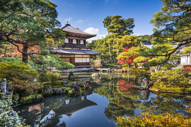 Private Kyoto Tour for Families With a Local, 100% Personalized - Pricing and Reservation Details