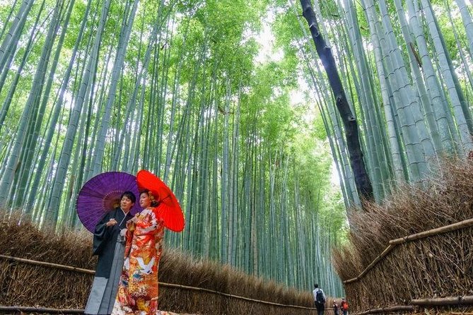 Arashiyama Bamboo Grove Day Trip From Kyoto With a Local: Private & Personalized - Reviews