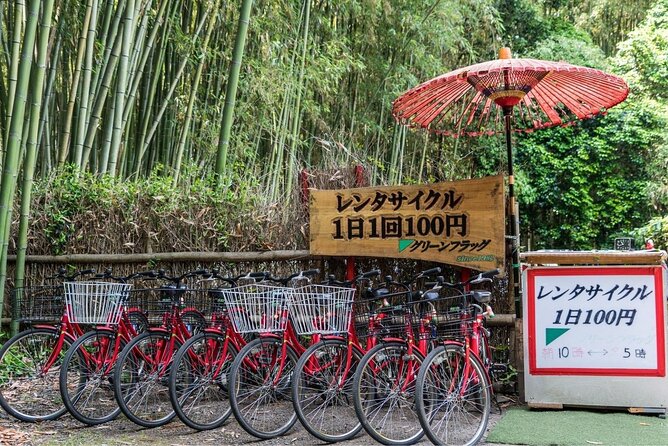 Arashiyama Bamboo Grove Day Trip From Kyoto With a Local: Private & Personalized - Additional Info