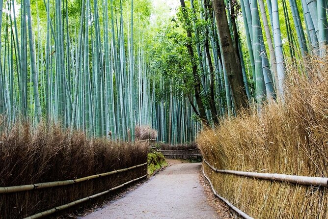 Arashiyama Bamboo Grove Day Trip From Kyoto With a Local: Private & Personalized - Highlights of the Tour