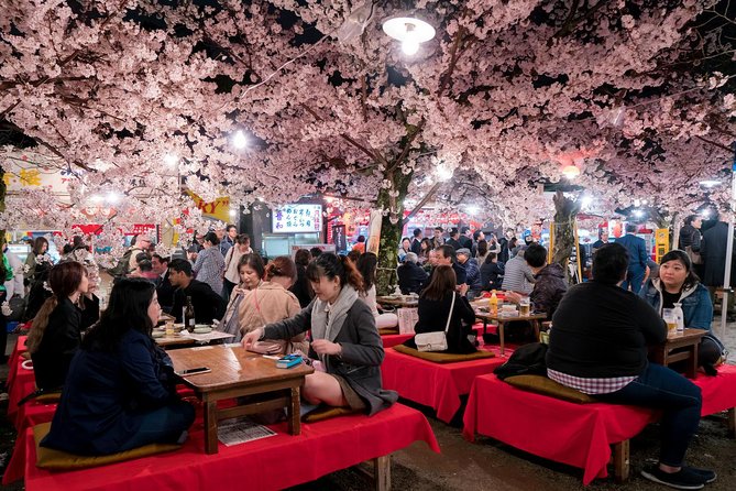 Private & Unique Kyoto Cherry Blossom Sakura Experience - Frequently Asked Questions