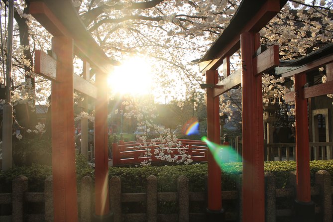 Private & Unique Kyoto Cherry Blossom Sakura Experience - Conclusion