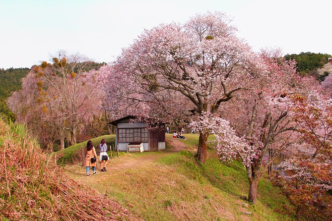 Nara Day Trip From Kyoto With a Local: Private & Personalized - Conclusion