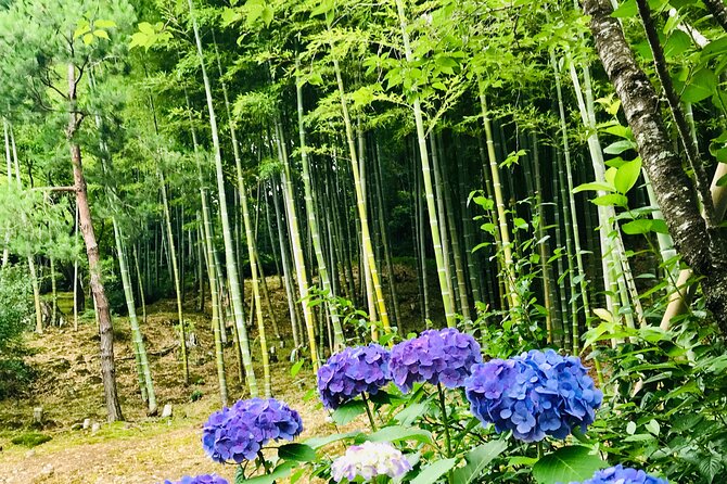 Bamboo LED Lantern Making Experience in Kyoto Arashiyama - Additional Information for Participants