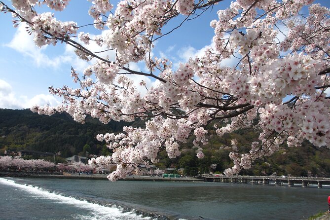 Kyoto Day Tour Tenryu-ji Temple Arashiyama Grove and Kinkaku-ji - Additional Tour Information