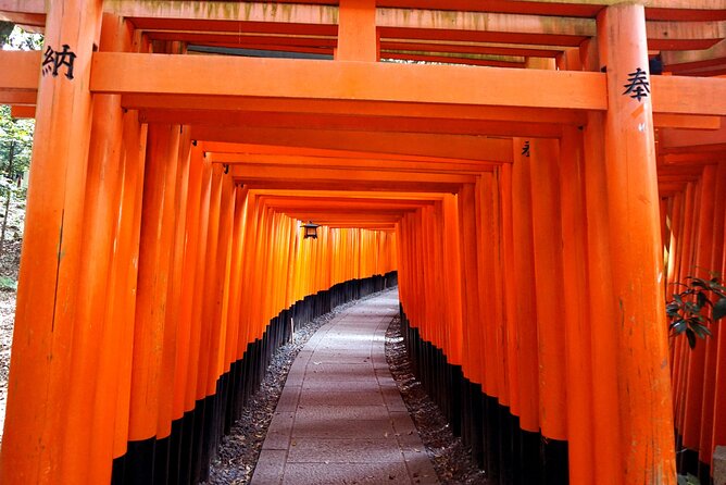 Kyoto Day Tour Tenryu-ji Temple Arashiyama Grove and Kinkaku-ji - Reviews and Ratings