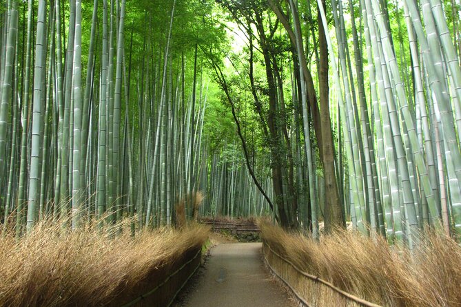 Kyoto Day Tour Tenryu-ji Temple Arashiyama Grove and Kinkaku-ji - Important Reminders and Guidelines