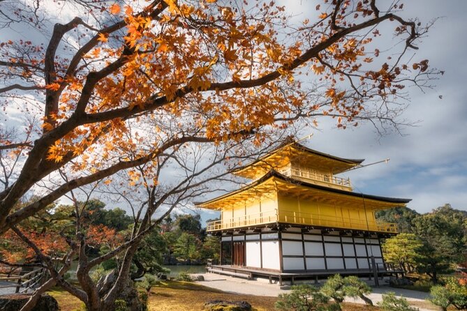 Full Day Guided Kyoto Cultural Tour - Booking Process and Pricing