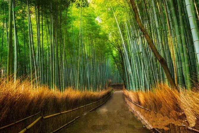 Kyoto Arashiyama Sanzen In Temple Day Tour - Meeting Points