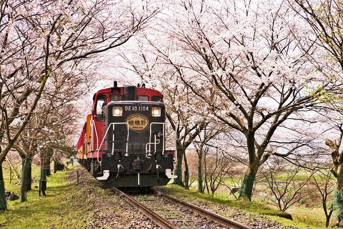 Kyoto Arashiyama Sanzen In Temple Day Tour - Accessibility Information