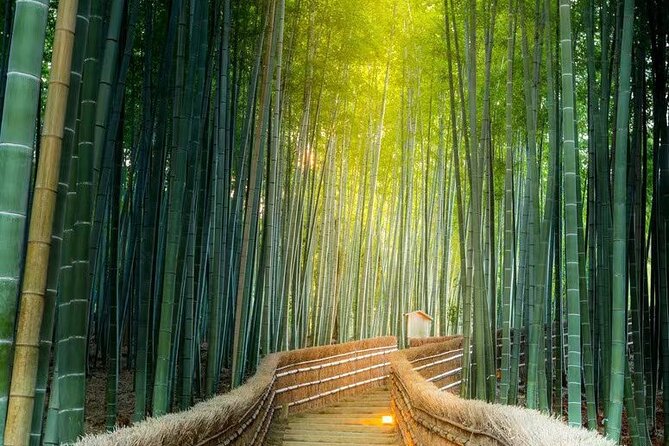 Kyoto Arashiyama Sanzen In Temple Day Tour - Pricing and Group Details