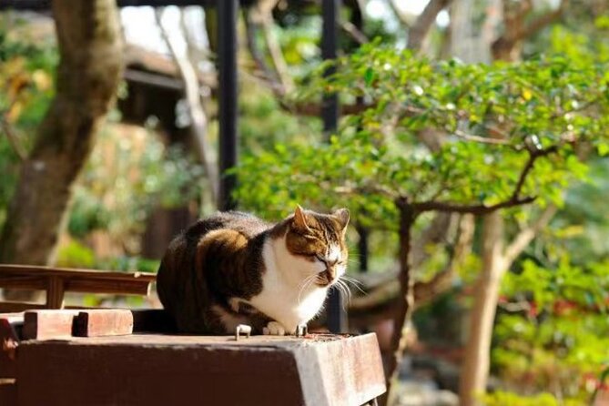 Kyoto Arashiyama Sanzen In Temple Day Tour - Attractions to Visit