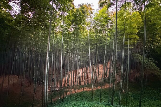 Green Tea Fields, Serene Beautiful Nature of Kyoto: Private Tour - Itinerary Highlights