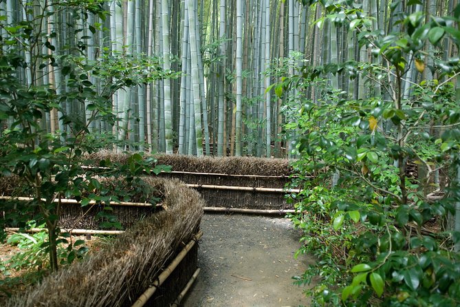 Kyoto Bamboo Forest Electric Bike Tour - Meeting Point Details