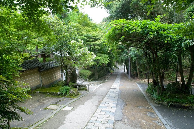 Kyoto Bamboo Forest Electric Bike Tour - Activity Inclusions